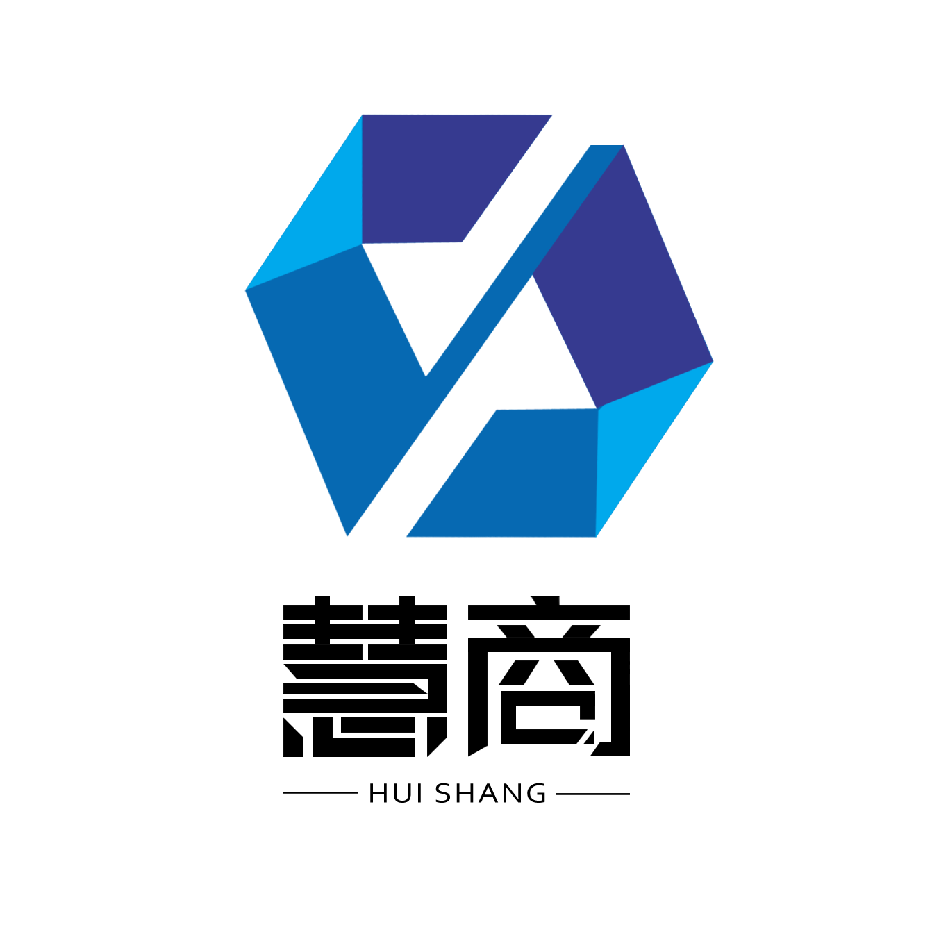 山东慧商信息技术有限公司